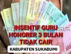 Honorer Kabupaten Sukabumi Menjerit !!! Insentif Dan SK Petikan Bupati Dari Pemerintah Kabupaten Sukabumi Belum Kunjung Keluar