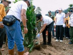 Bupati Delis Tanam Perdana Lahan Sawit Plasma Mandiri PT. CAS Di Mamosalato.