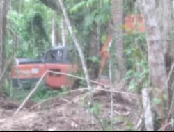 Penambangan Pasir Putih Di Hutan Mangrove Desa Mokupa Diduga Kuat Ilegal, Ini keterangan Pemerintah Desa Mokupa