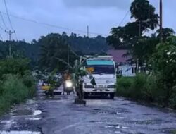 Protes Warga Banggai: Pohon Pisang ‘Tumbuh’ di Tengah Jalan Rusak